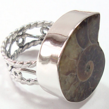 Sterling Silver Fossil Ring 